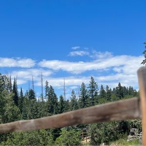 Meet your Posher, Pagent